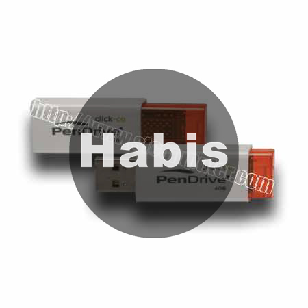 Flashdisk PenDrive Click-Co 4GB