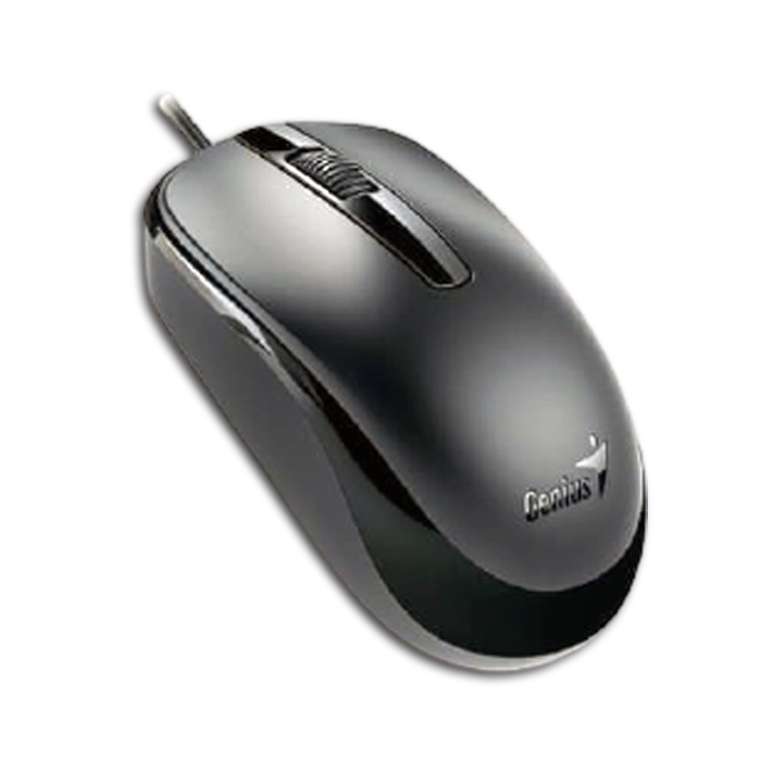 Mouse Genius DX-125 USB